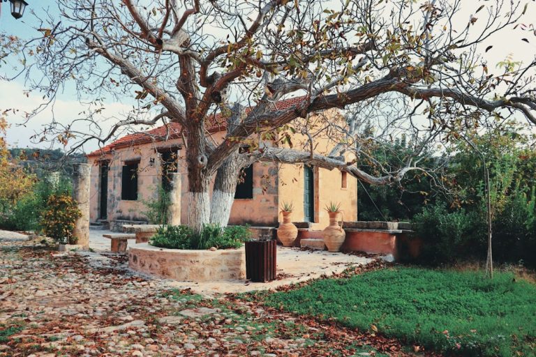 Embracing the Wild: How Outdoor Adventures Fuel the Soul